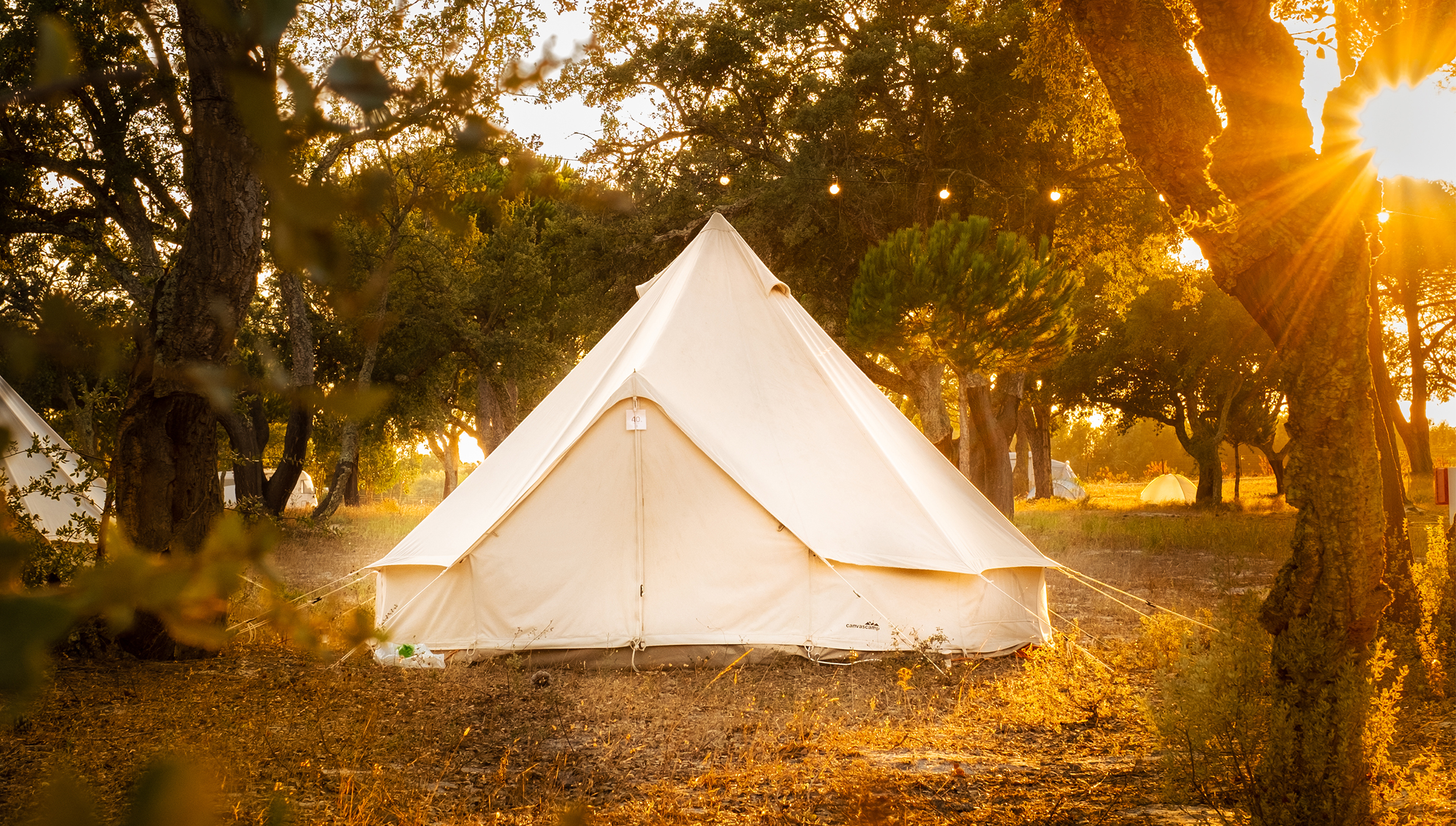 DomoCamp